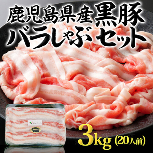 gkc00283